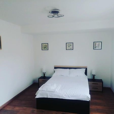 La Bunici Appartement Baia Mare Buitenkant foto