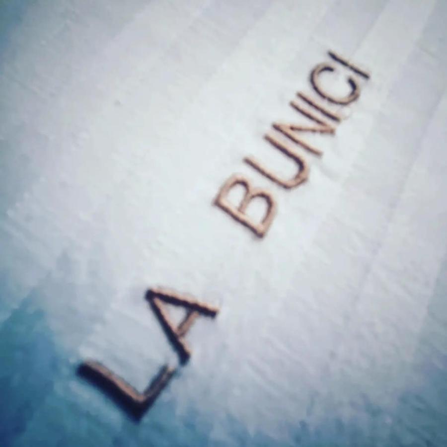 La Bunici Appartement Baia Mare Buitenkant foto
